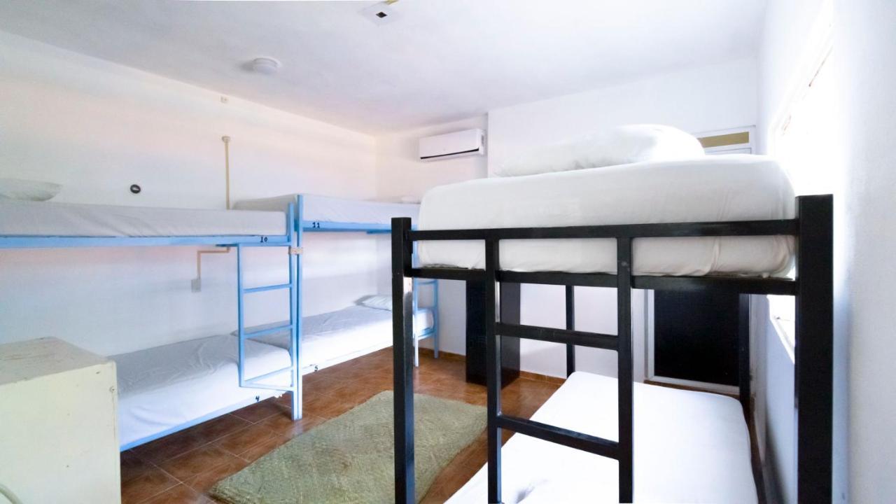 Weary Traveler Hostel Tulum Chambre photo