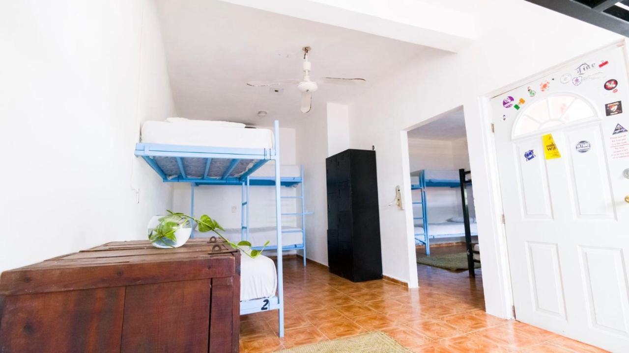 Weary Traveler Hostel Tulum Chambre photo