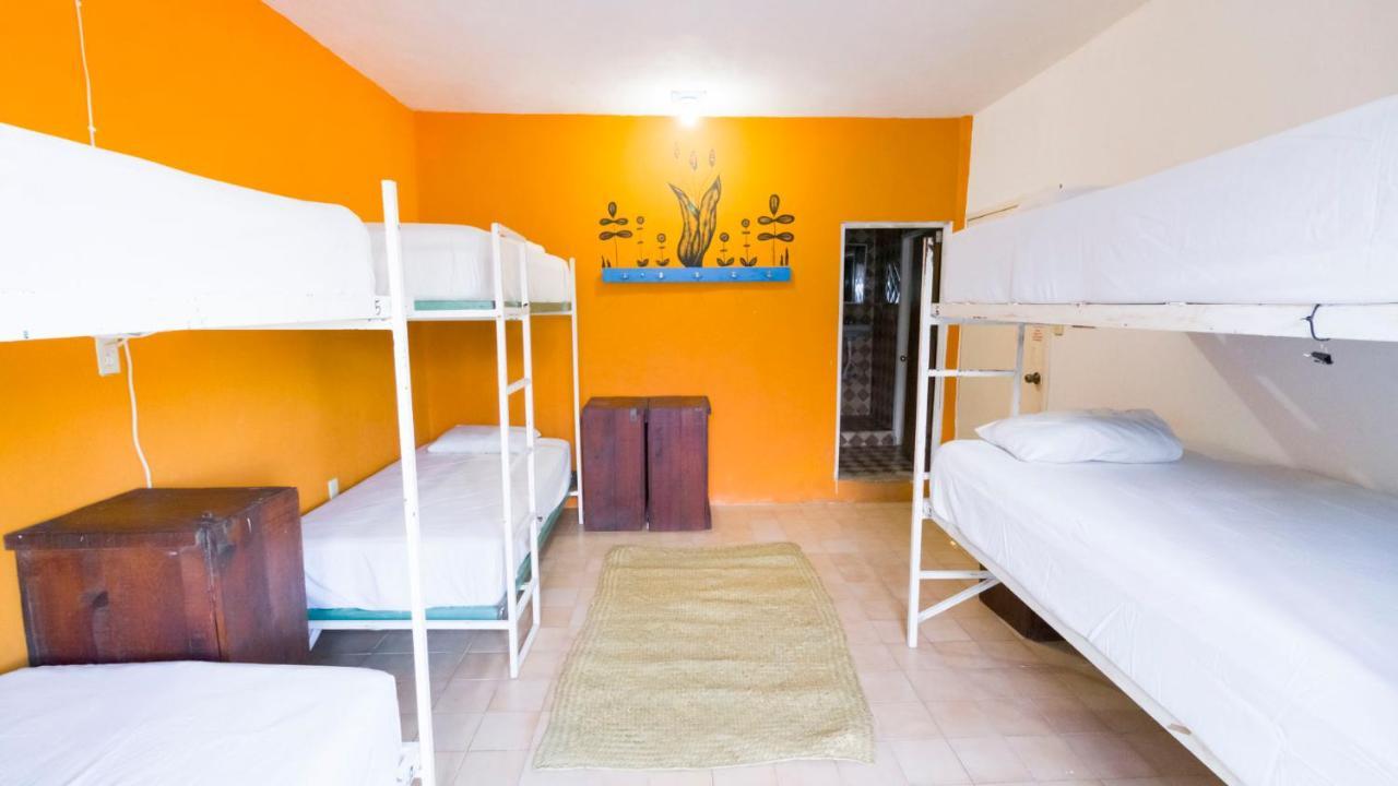 Weary Traveler Hostel Tulum Chambre photo